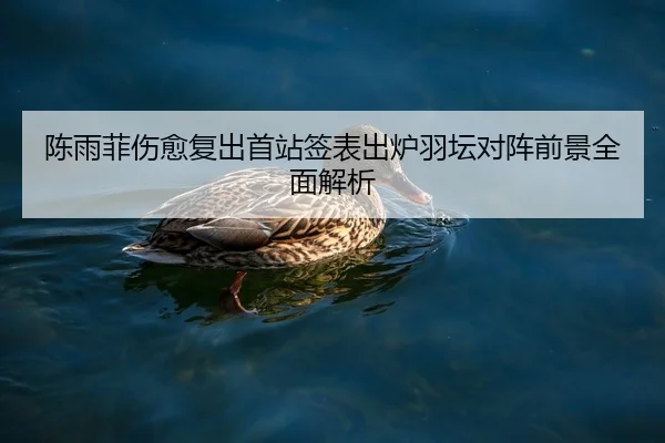 陈雨菲伤愈复出首站签表出炉羽坛对阵前景全面解析
